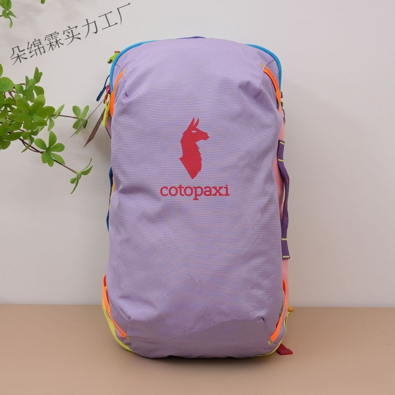 Wasserdichter Farbblock-Rucksa – Women'S Bags Going Out Bewertung und Preis