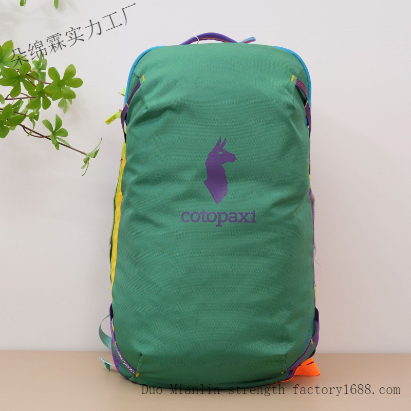 Wasserdichter Farbblock-Rucksa – Women'S Bags Going Out Bewertung und Preis